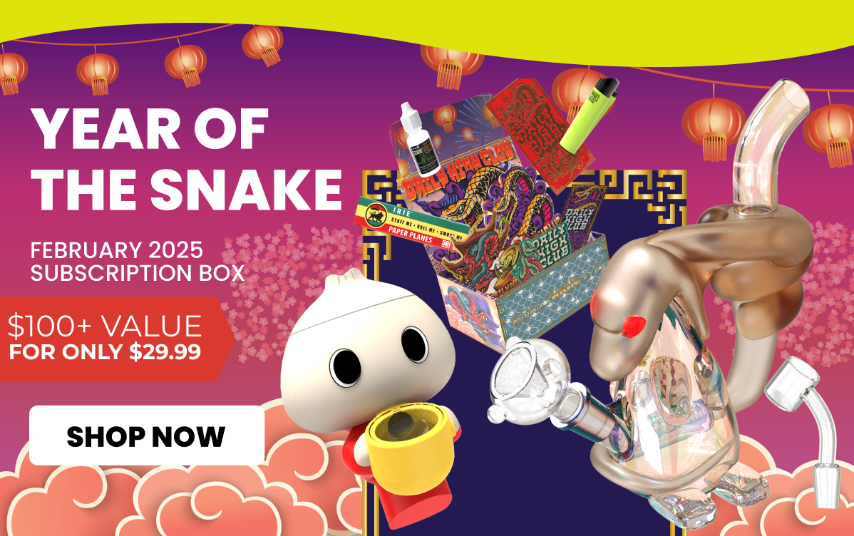 YEAR OF THE SNAKE
