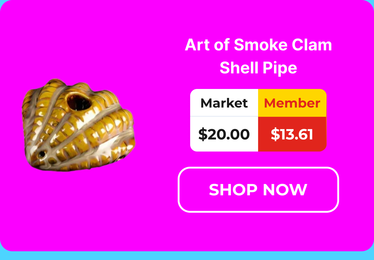 Art of Smoke Clam Shell Pipe
