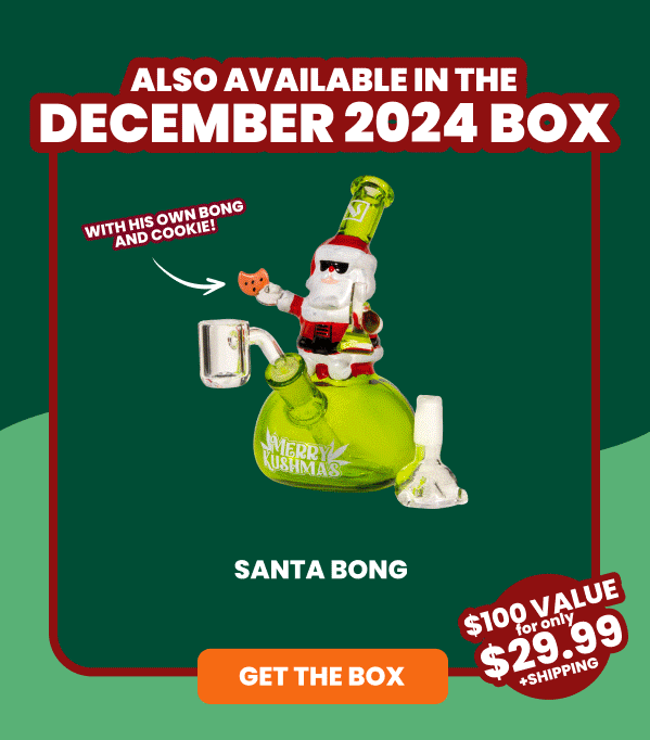 Also Available in the DECEMBER 2024 Box