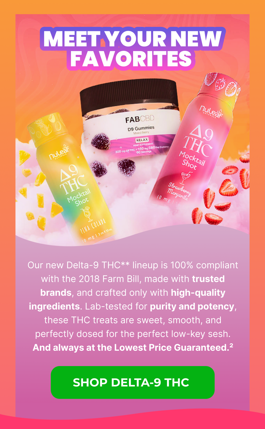 MEET YOUR NEW FAVORITES 