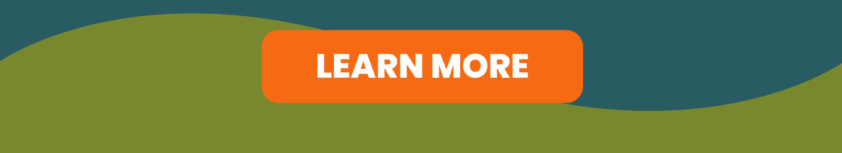 LEARN MORE 