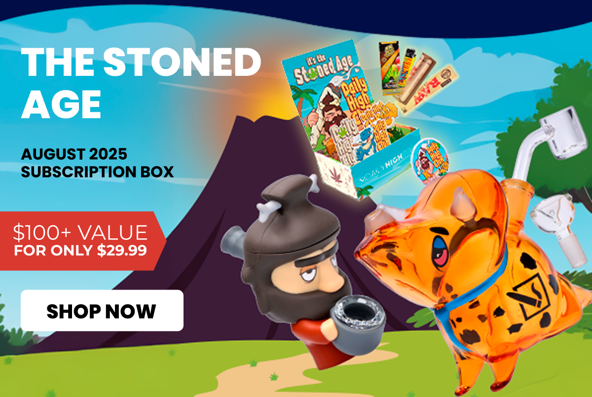 AUGUST 2025 subscription box