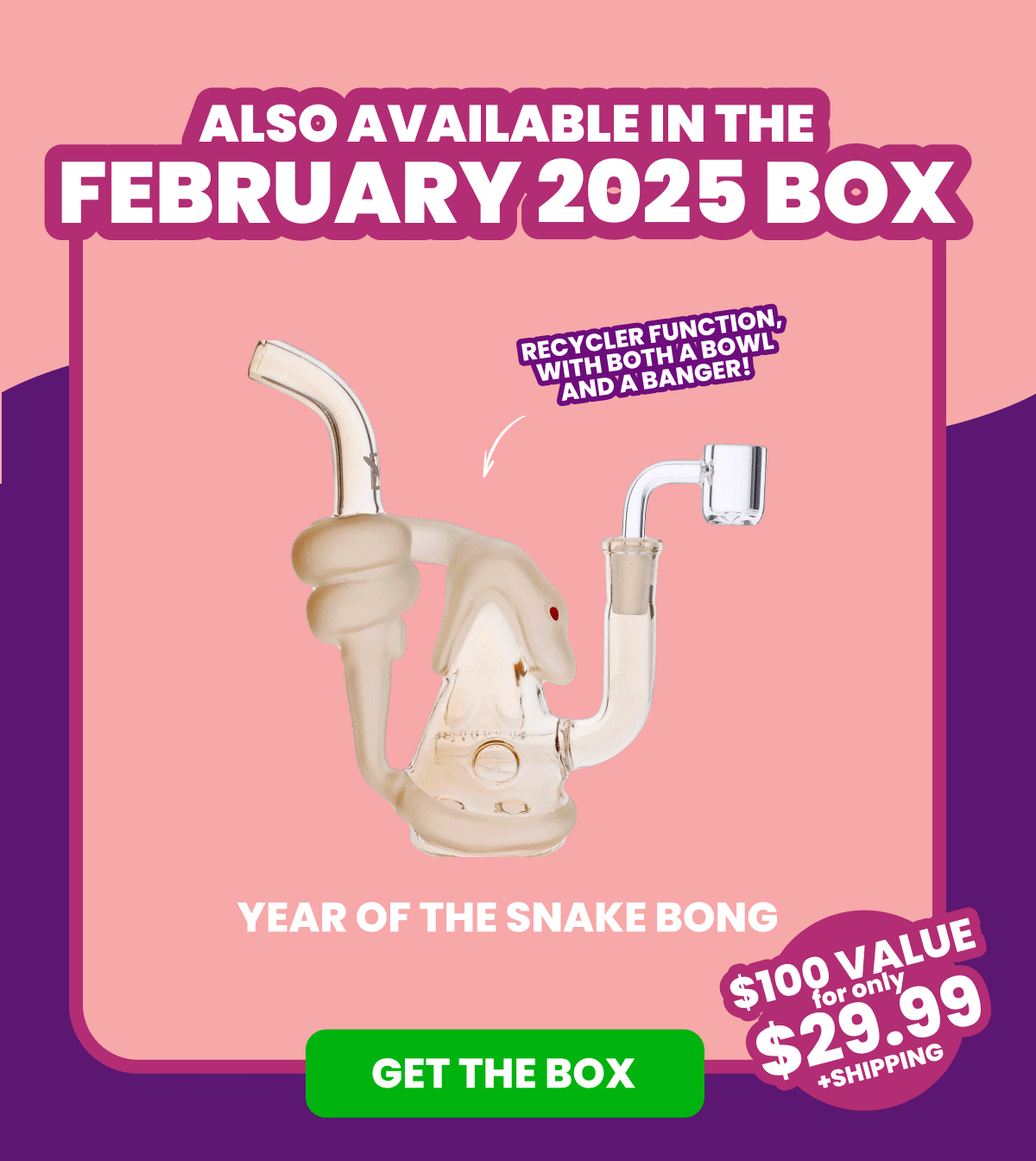 Also Available in the FEBRUARY 2025 Box