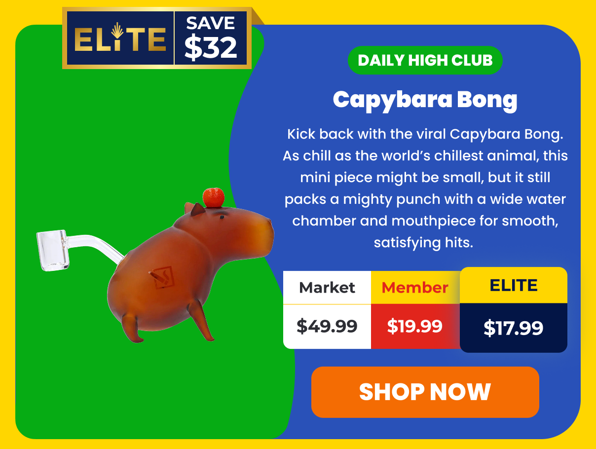 Daily High Club Capybara Bong