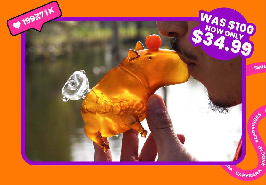WAS $100 NOW ONLY $34.99