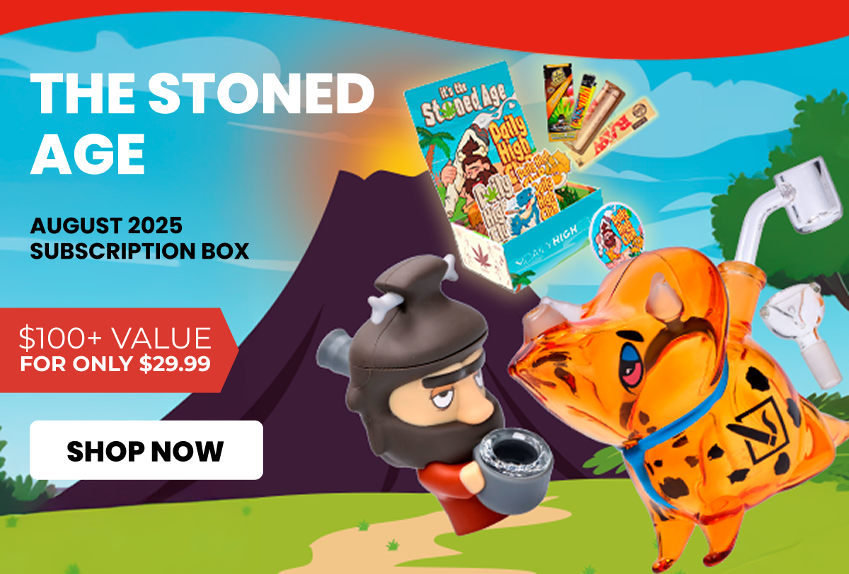 AUGUST 2025 subscription box
