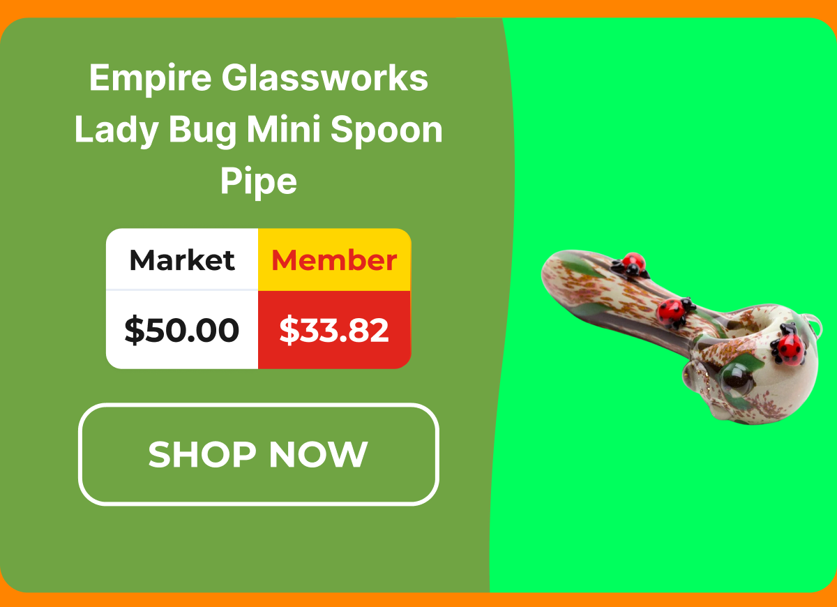 Empire Glassworks Lady Bug Mini Spoon Pipe