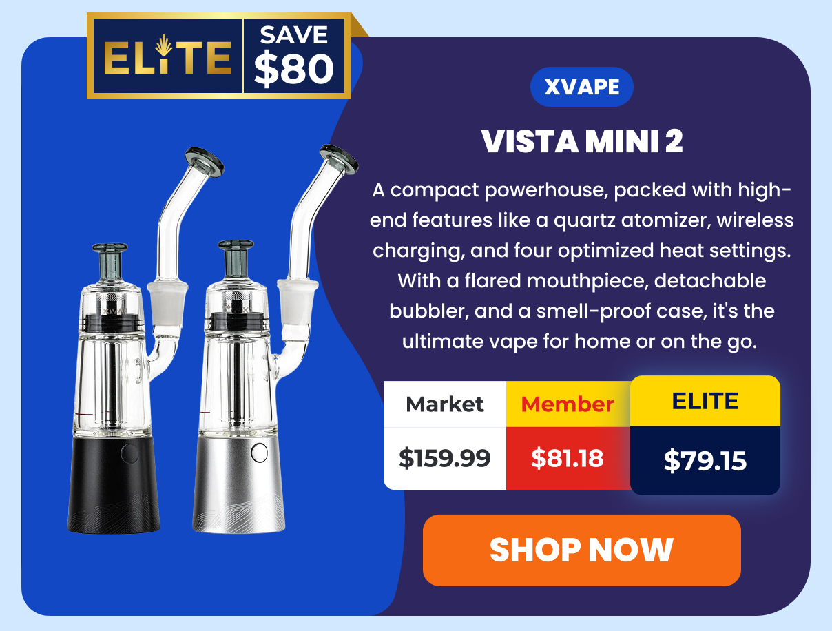 XVAPE VISTA MINI 2