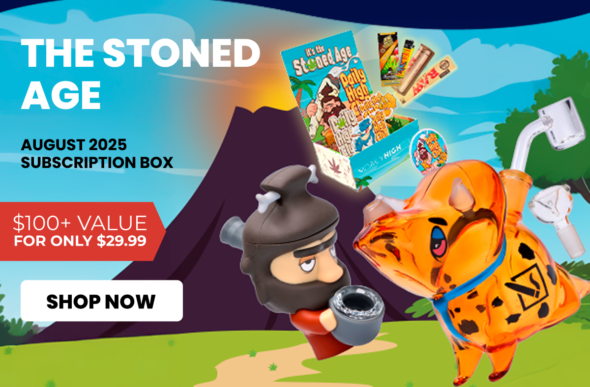 AUGUST 2025 subscription box