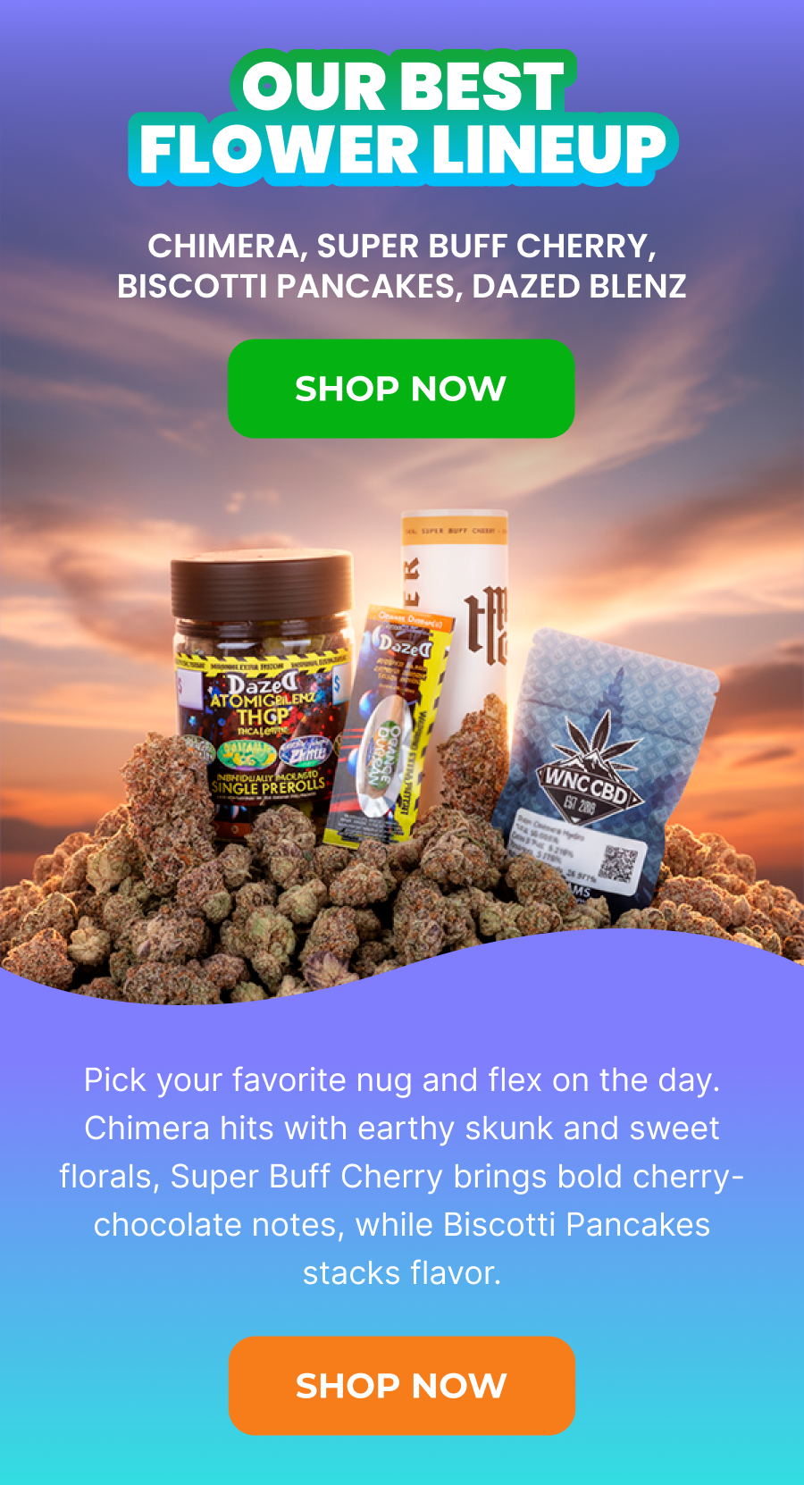 Shop Now