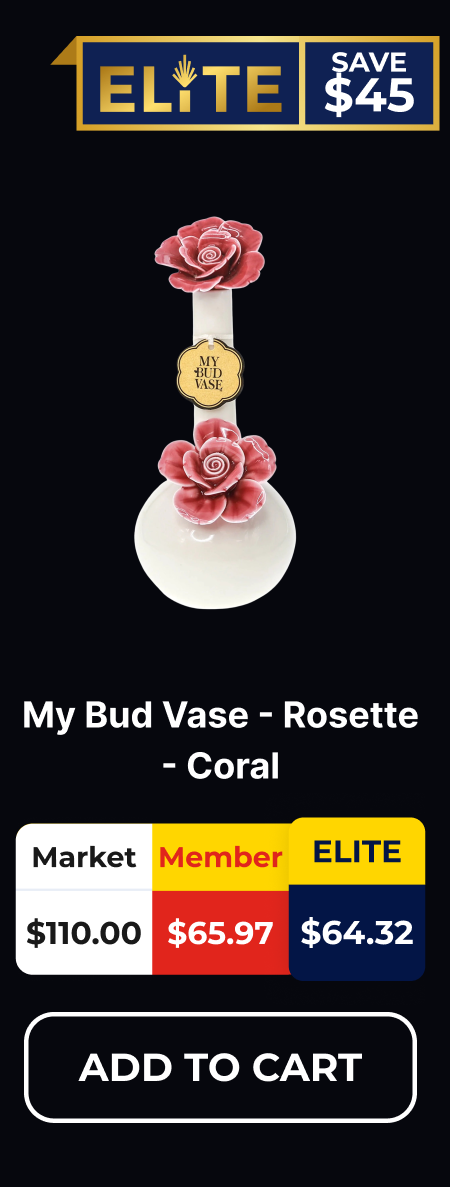 My Bud Vase - Rosette - Coral