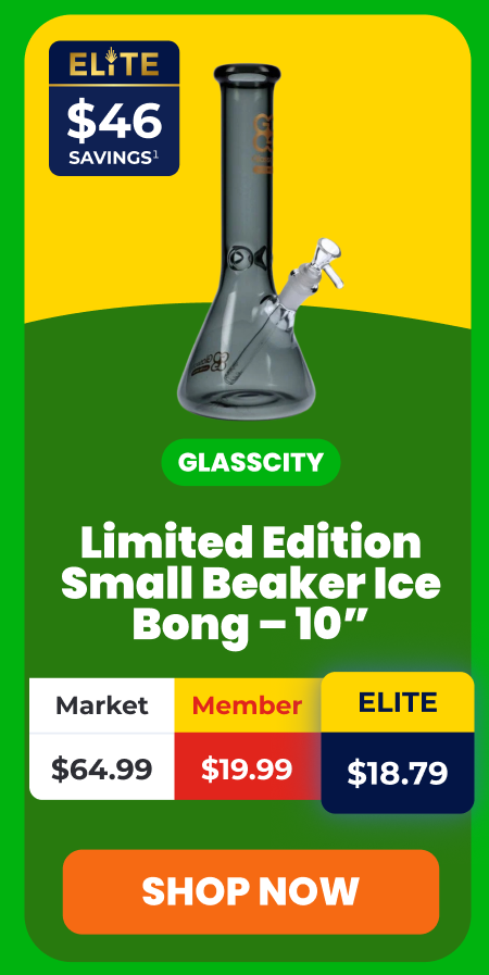 Limited Edition Small Beaker Ice Bong - 10