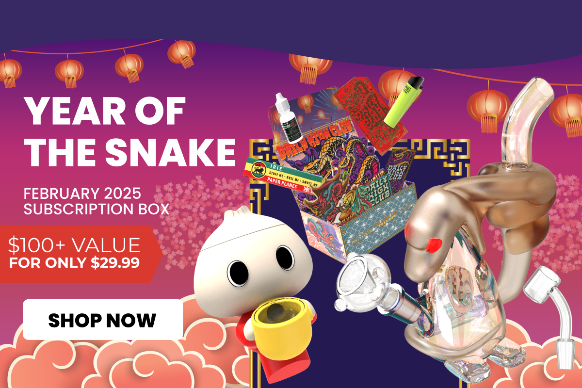 Year of the snake