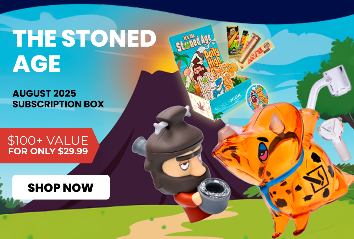 AUGUST 2025 subscription box