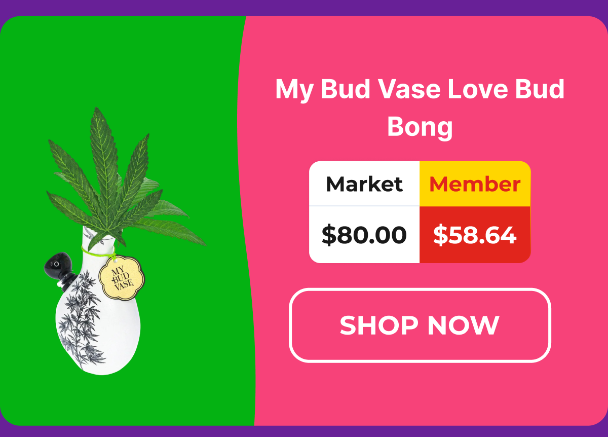 My Bud Vase Love Bud Bong