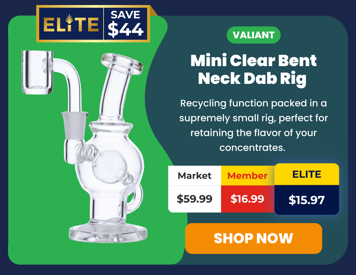 Bunny BongMini Clear Bent Neck Dab Rig