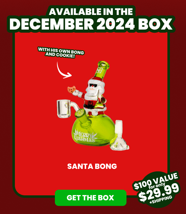 Available in the DECEMBER 2024 Box