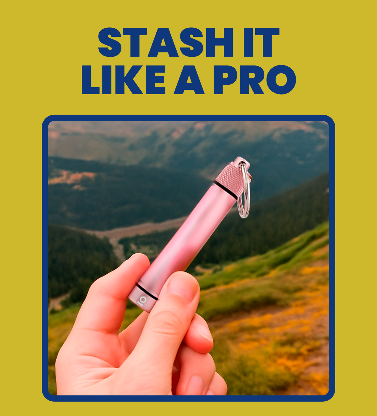 STASH IT LIKE A PRO 