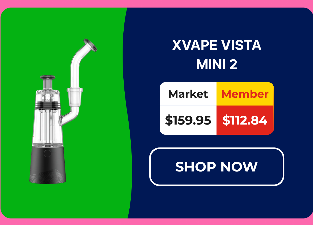 XVAPE VISTA MINI 2