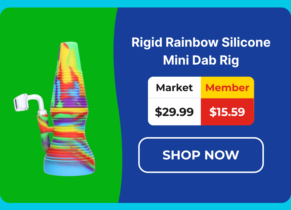Rigid Rainbow Silicone Mini Dab Rig