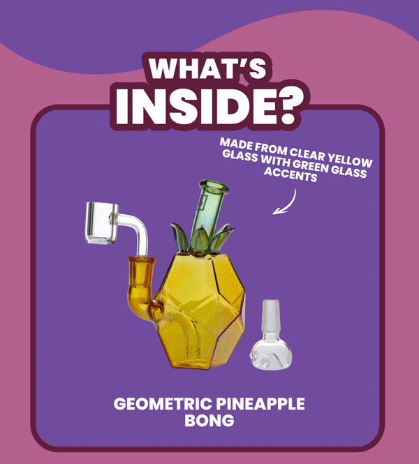WHAT'S INSIDE? 