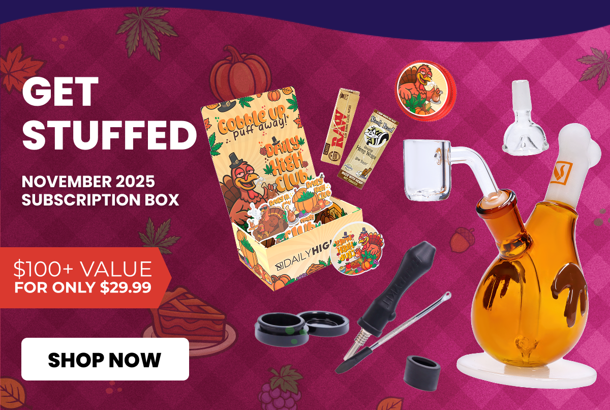 NOVEMBER 2025 subscription box