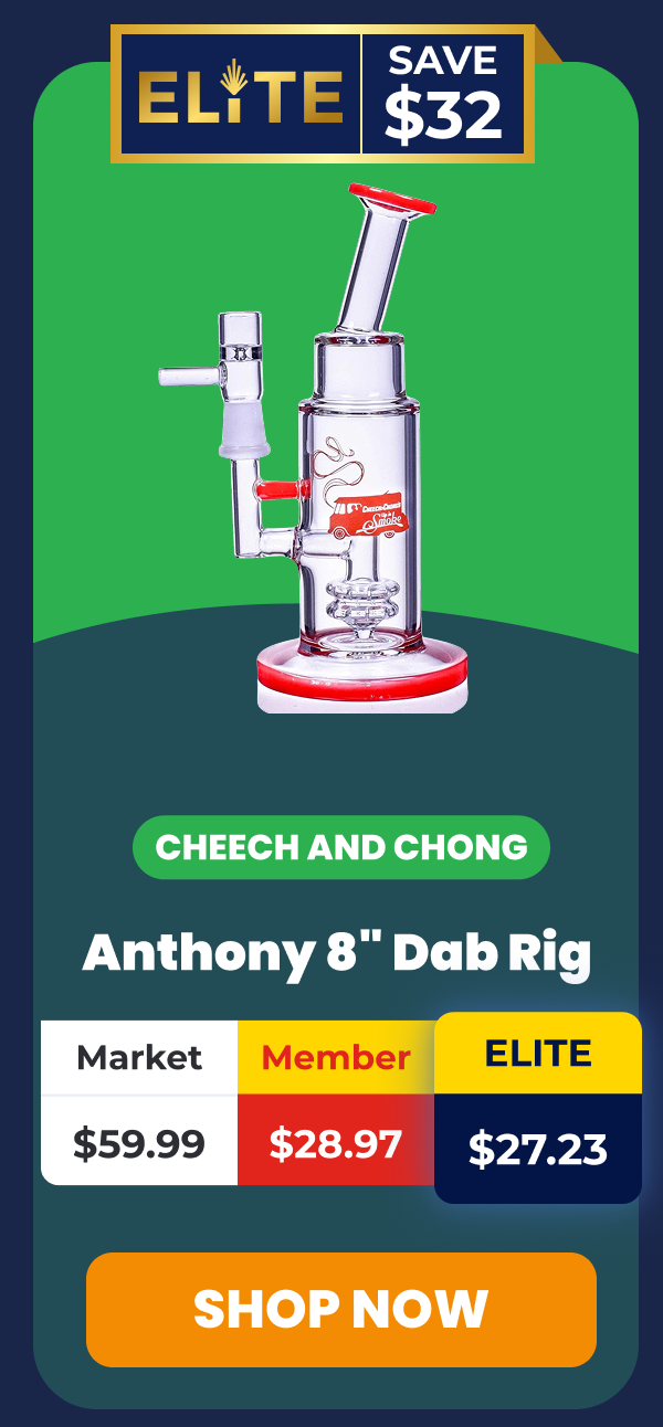 Anthony 8" Dab Rig
