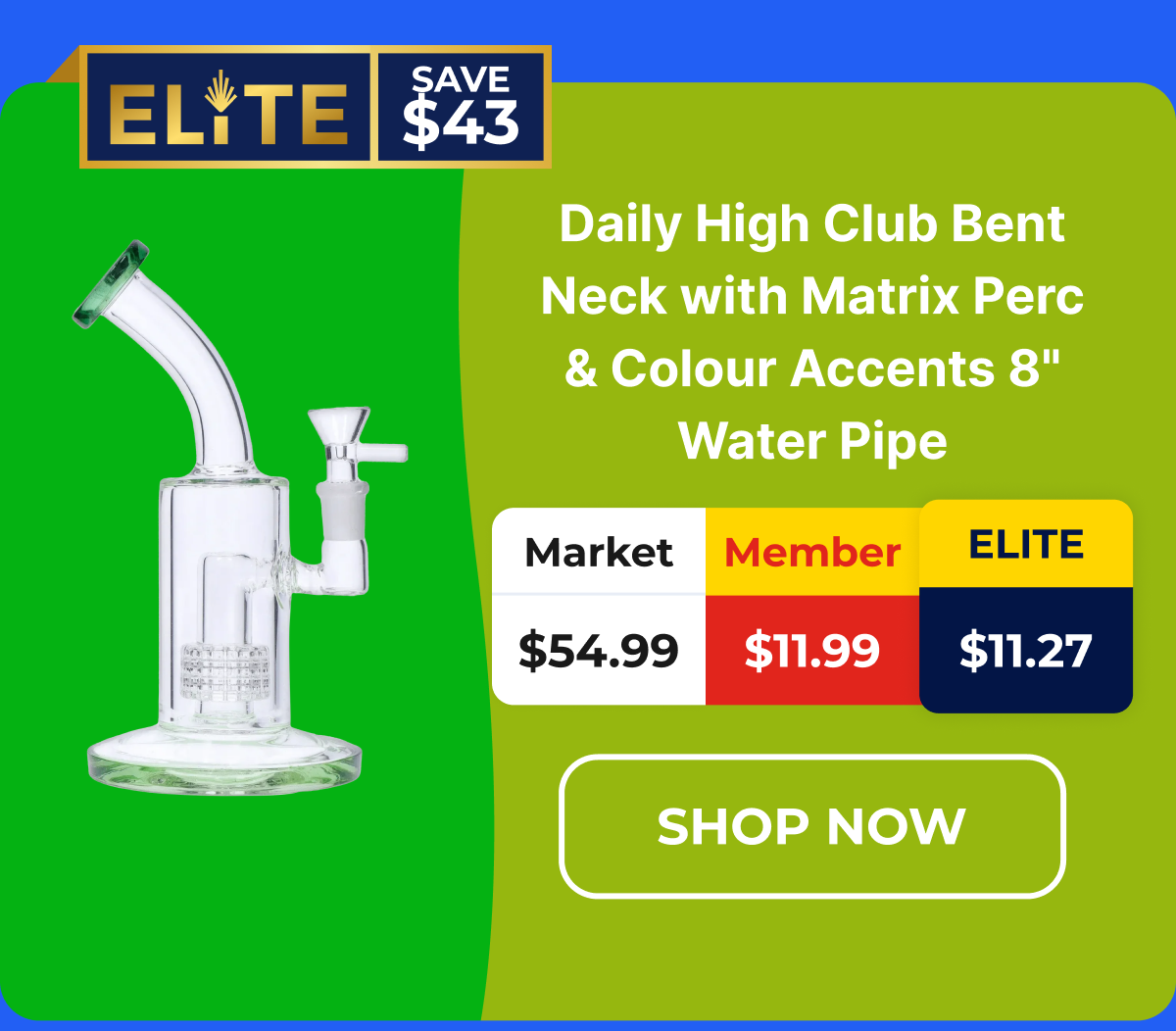 Daily High Club Bent Neck with Matrix Perc & Colour Accents 8" Water Pipe