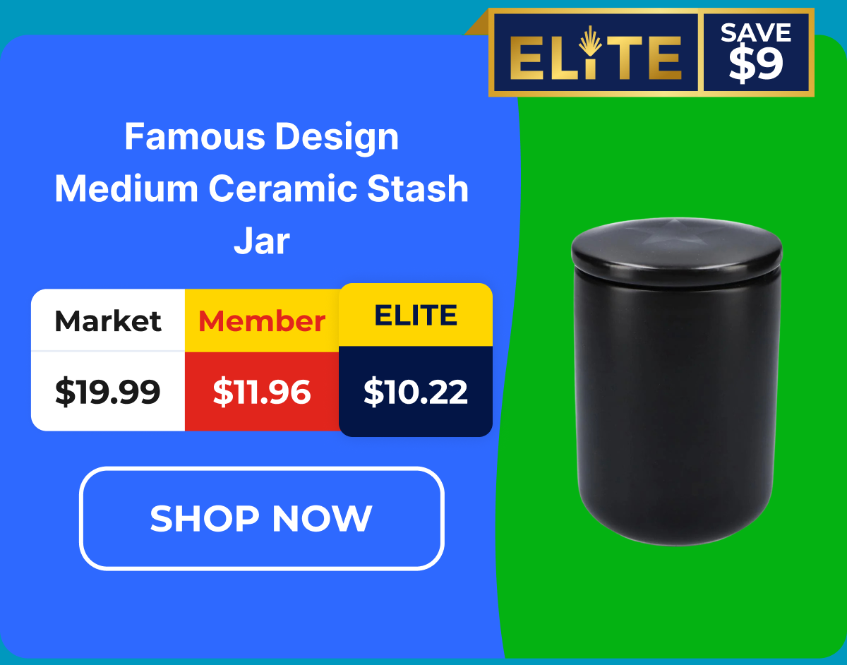 Famous Design Medium Ceramic Stash Jar