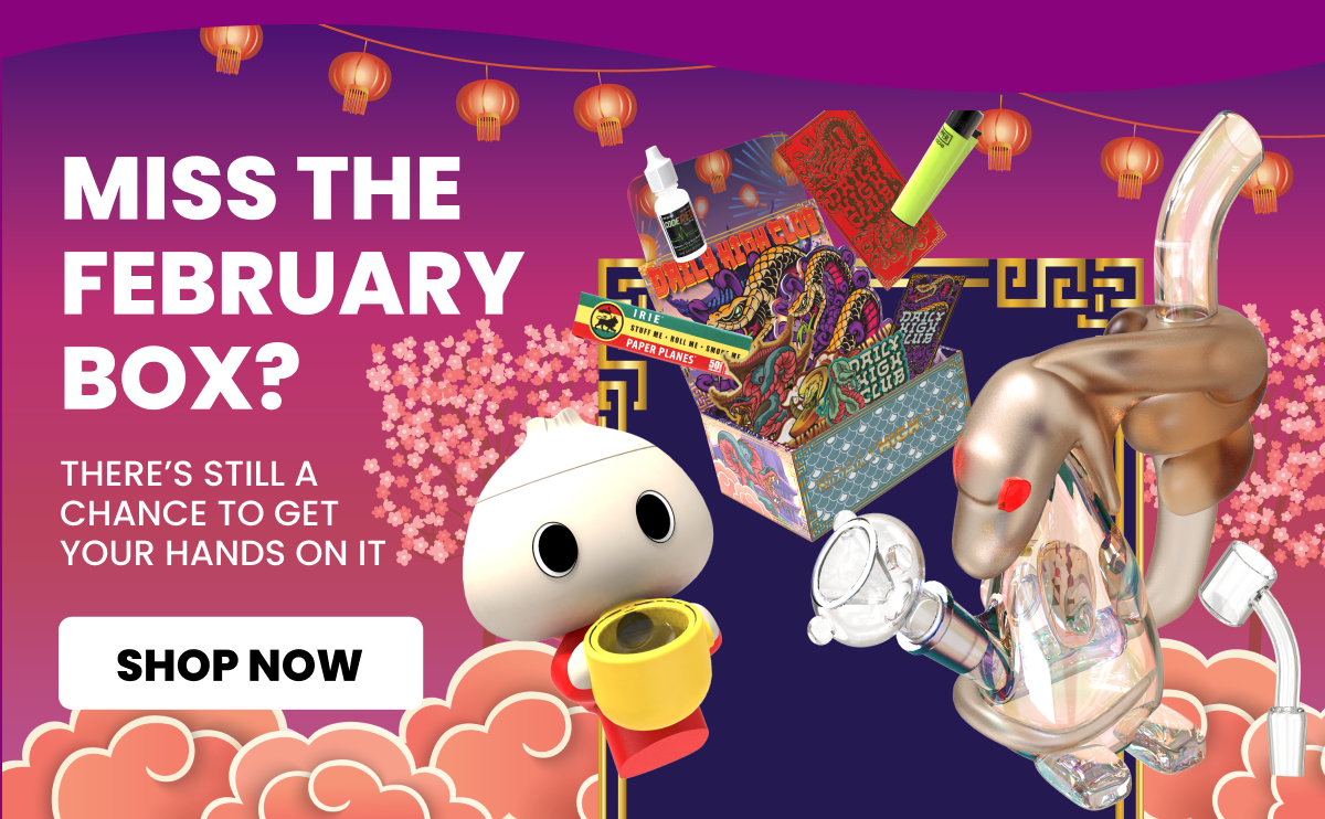 MISS THE FEBRUARY BOX?