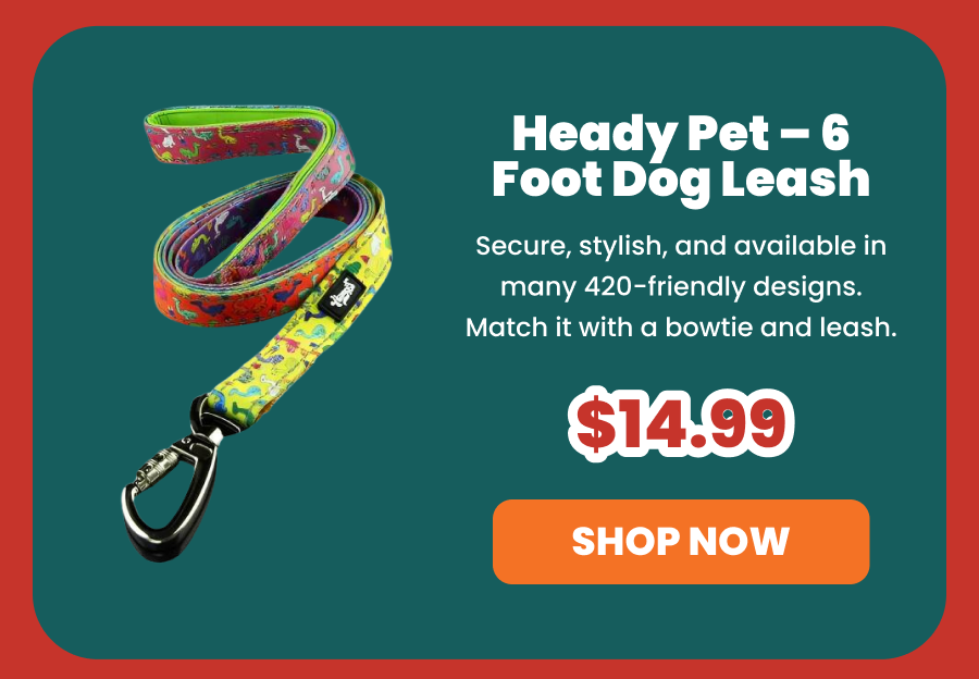 Heady Pet - 6 Foot Dog Leash