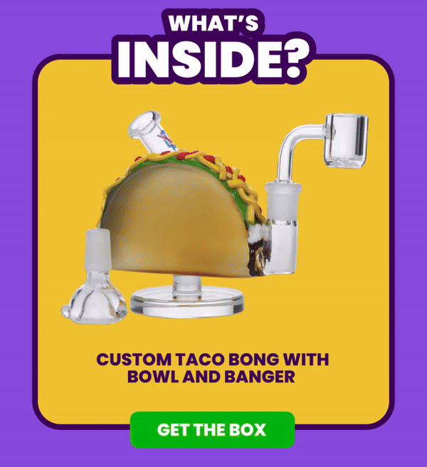 WHAT's INSIDE?