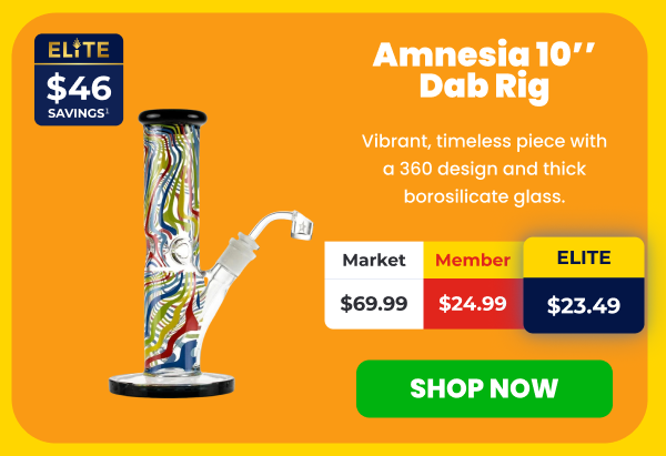 Amnesia 10'' Dab Rig