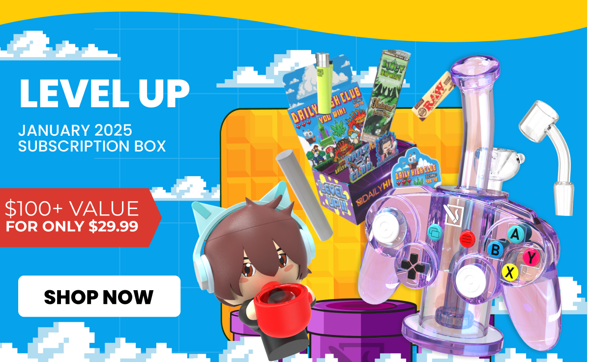 level up: JANUARY 2025 subscription box