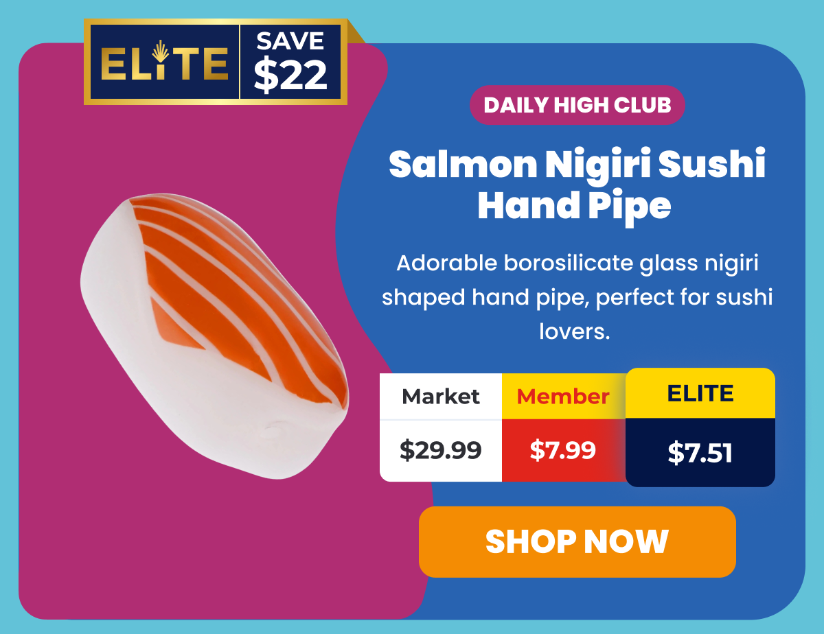 Salmon Nigiri Sushi Hand Pipe 