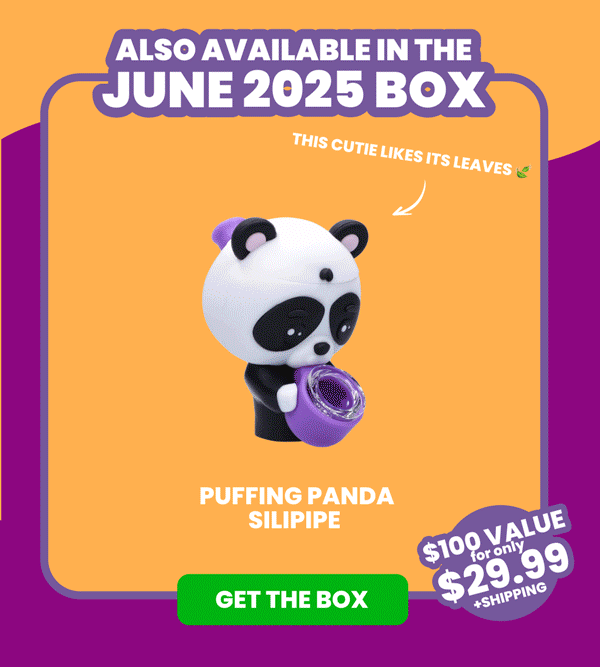 GET THE BOX 