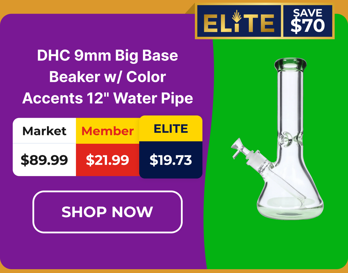 DHC 9mm Big Base Beaker w/ Color Accents 12" Water Pipe