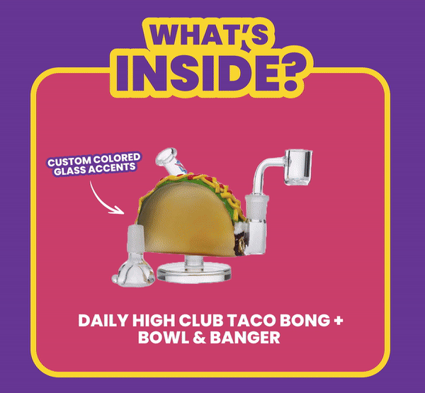What's INSIDE?