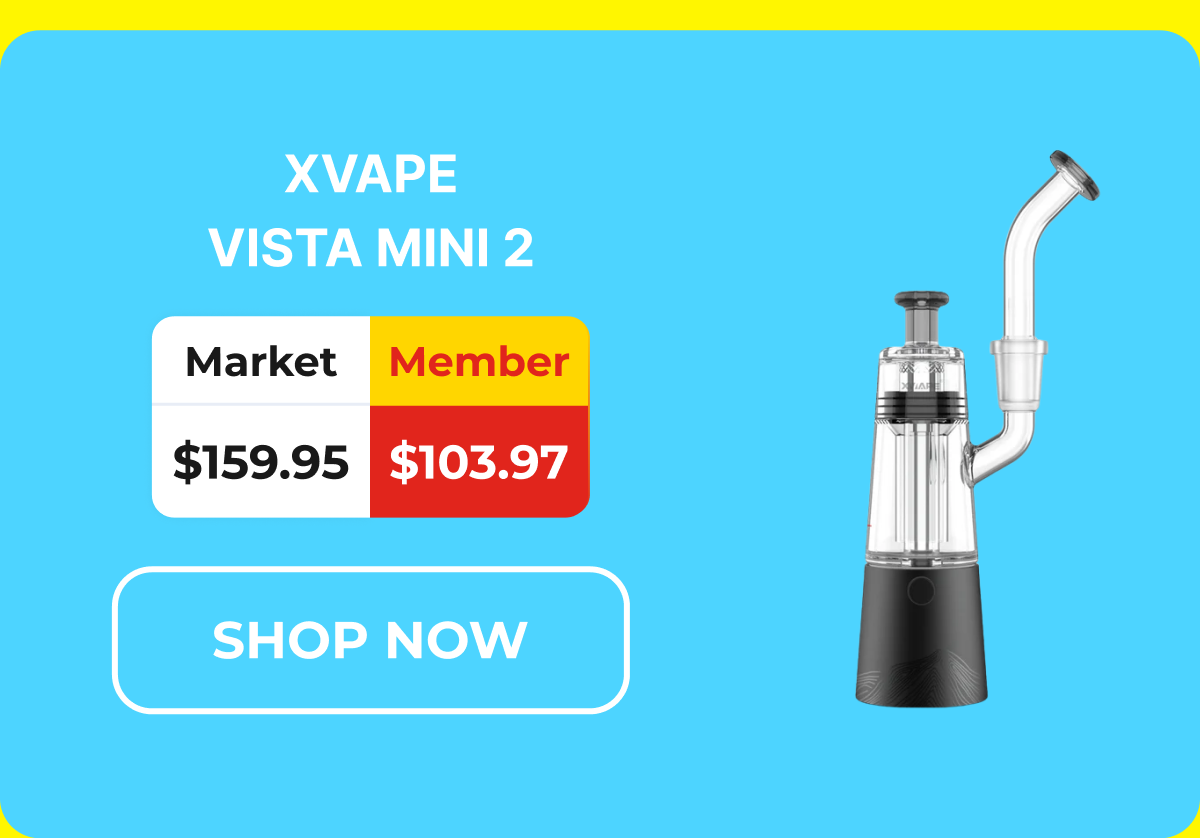 XVAPE VISTA MINI 2