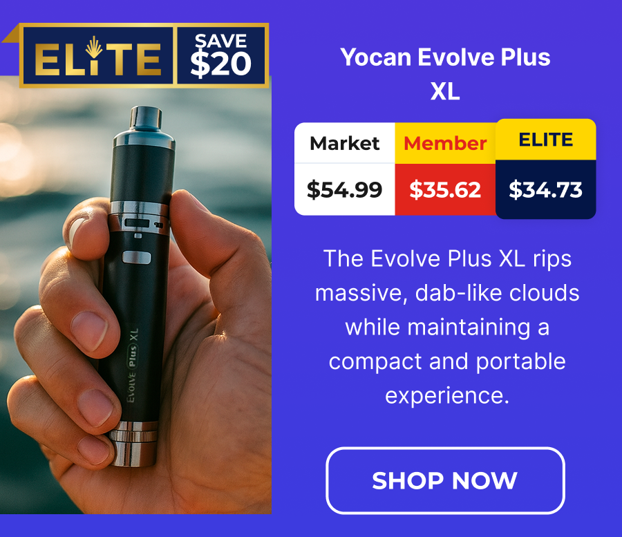 Yocan Evolve Plus XL