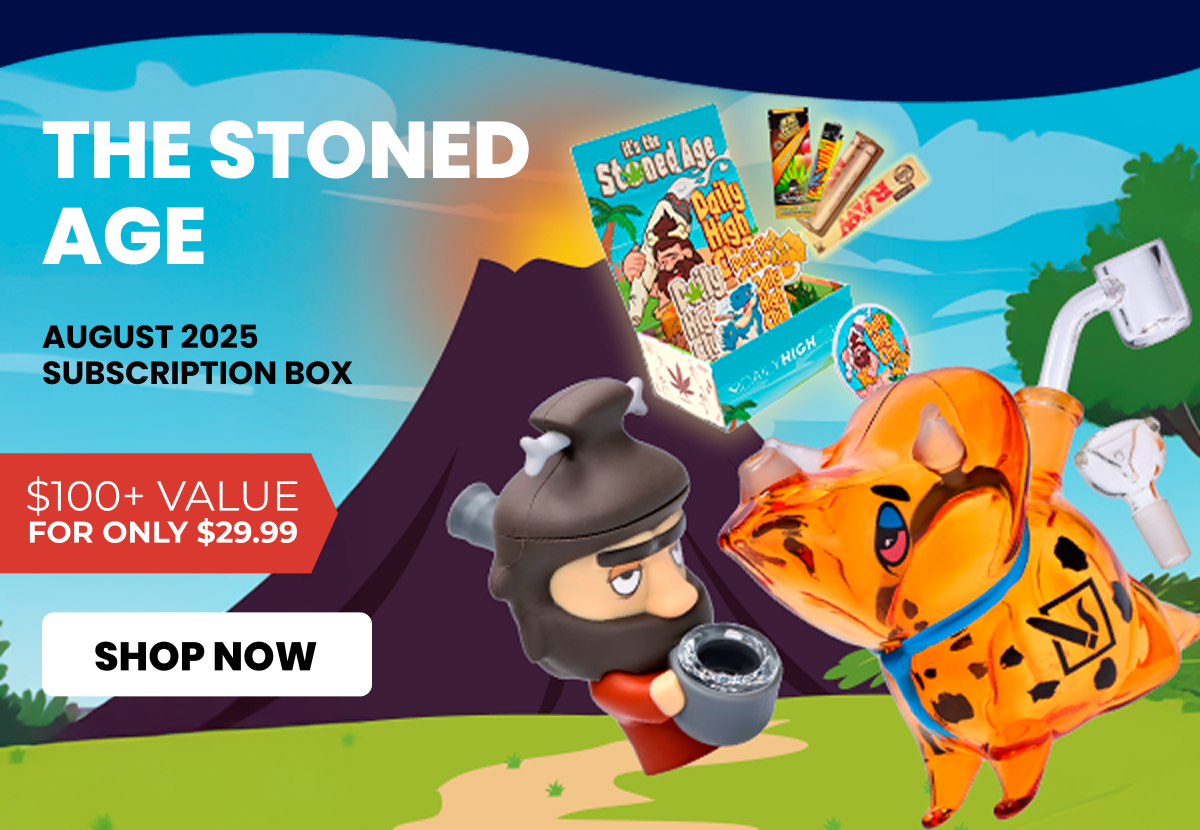 AUGUST 2025 subscription box