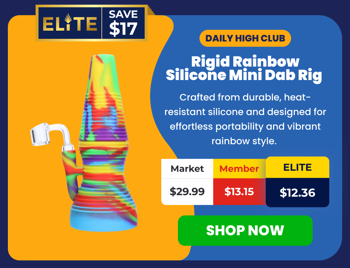 Rigid Rainbow Silicone Mini Dab Rig 