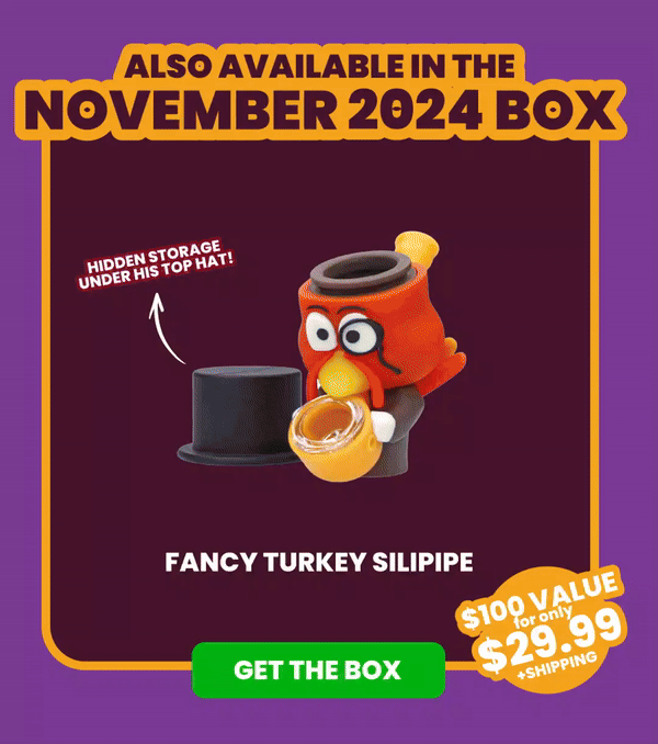 Also Available in the november 2024 Box