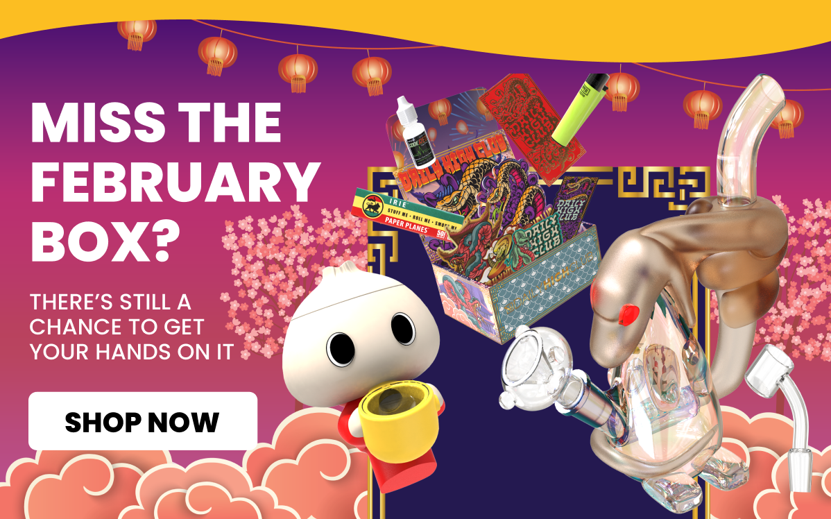 MISS THE FEBRUARY BOX?