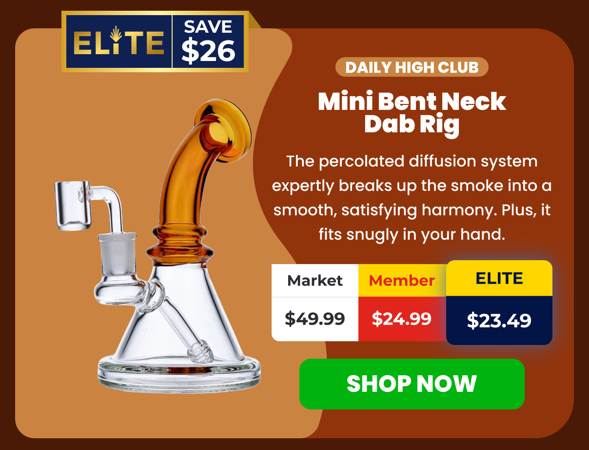 Mini Bent Neck Dab Rig