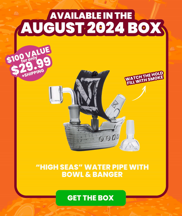 Available in the AUGUST 2024 Box