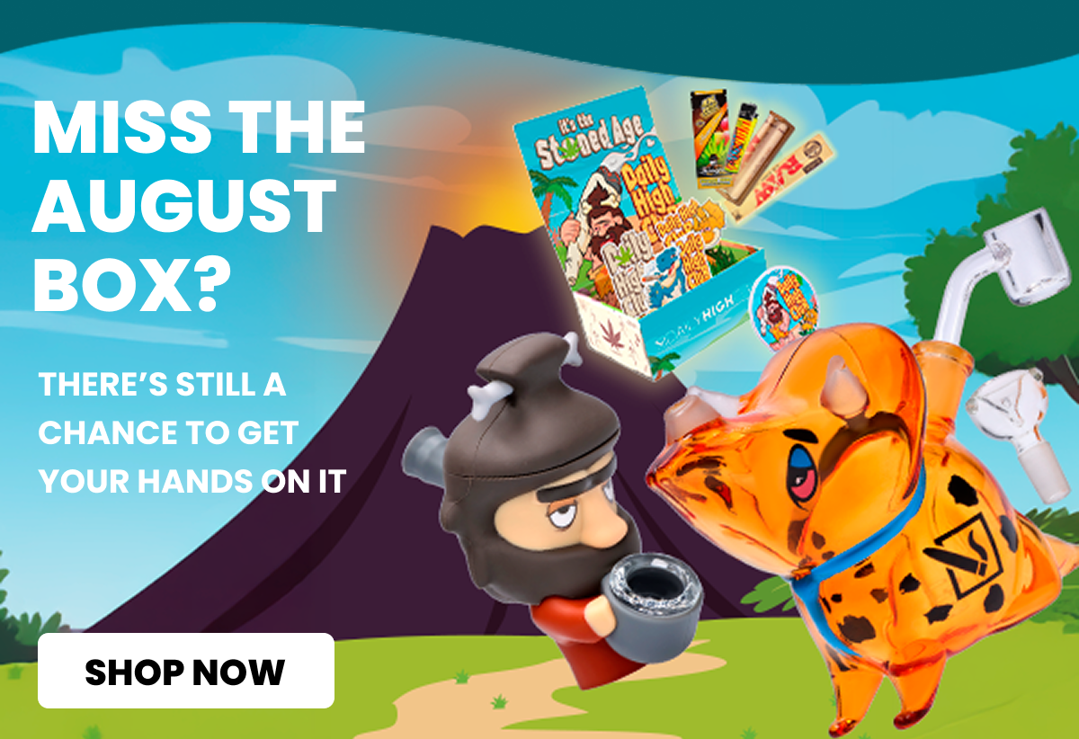 AUGUST 2025 subscription box