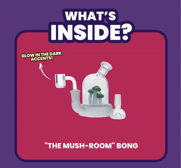 What's  INSIDE?