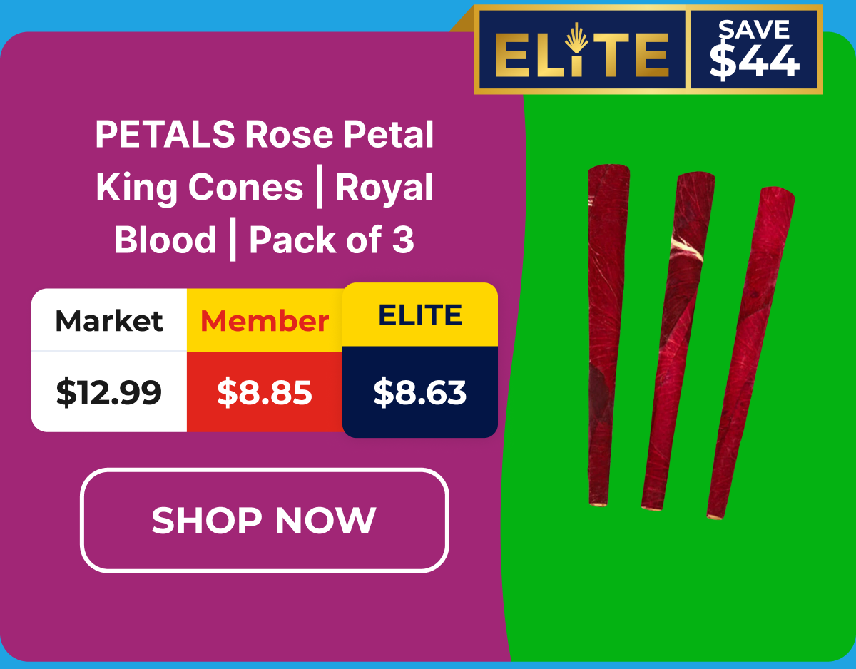 PETALS Rose Petal King Cones | Royal Blood | Pack of 3