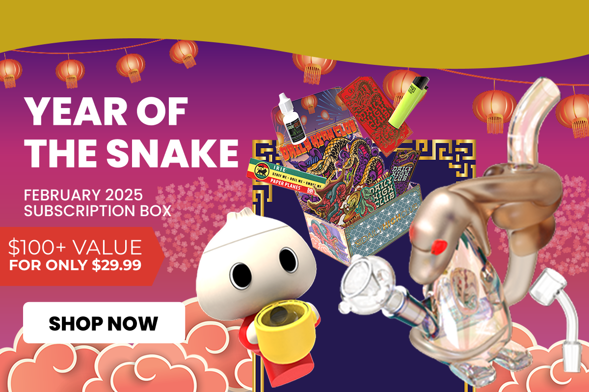 Year of the Snake